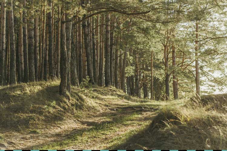  REMBE® als Arbeitgeber.